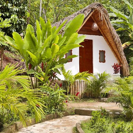 Eco Hotel Amanecer Tayrona 埃尔扎伊诺 外观 照片