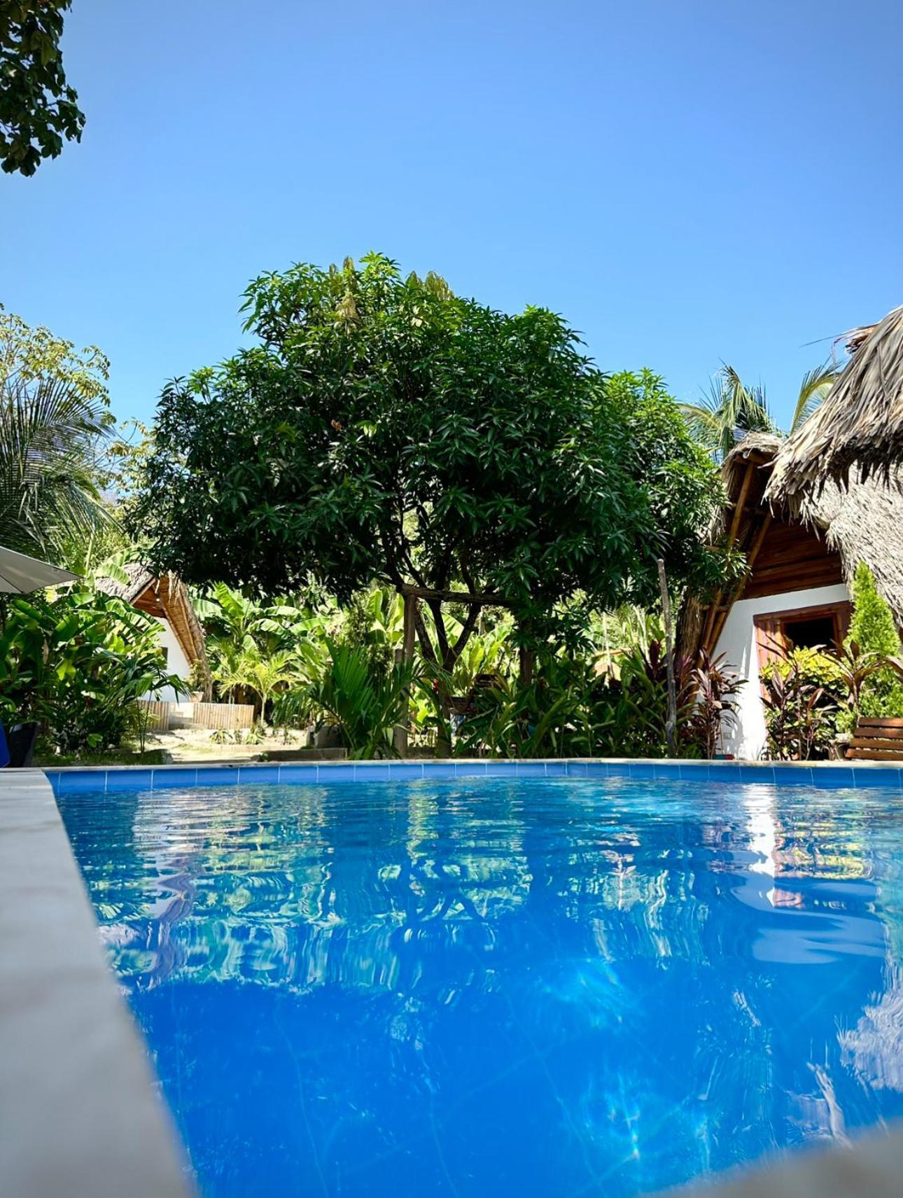Eco Hotel Amanecer Tayrona 埃尔扎伊诺 外观 照片