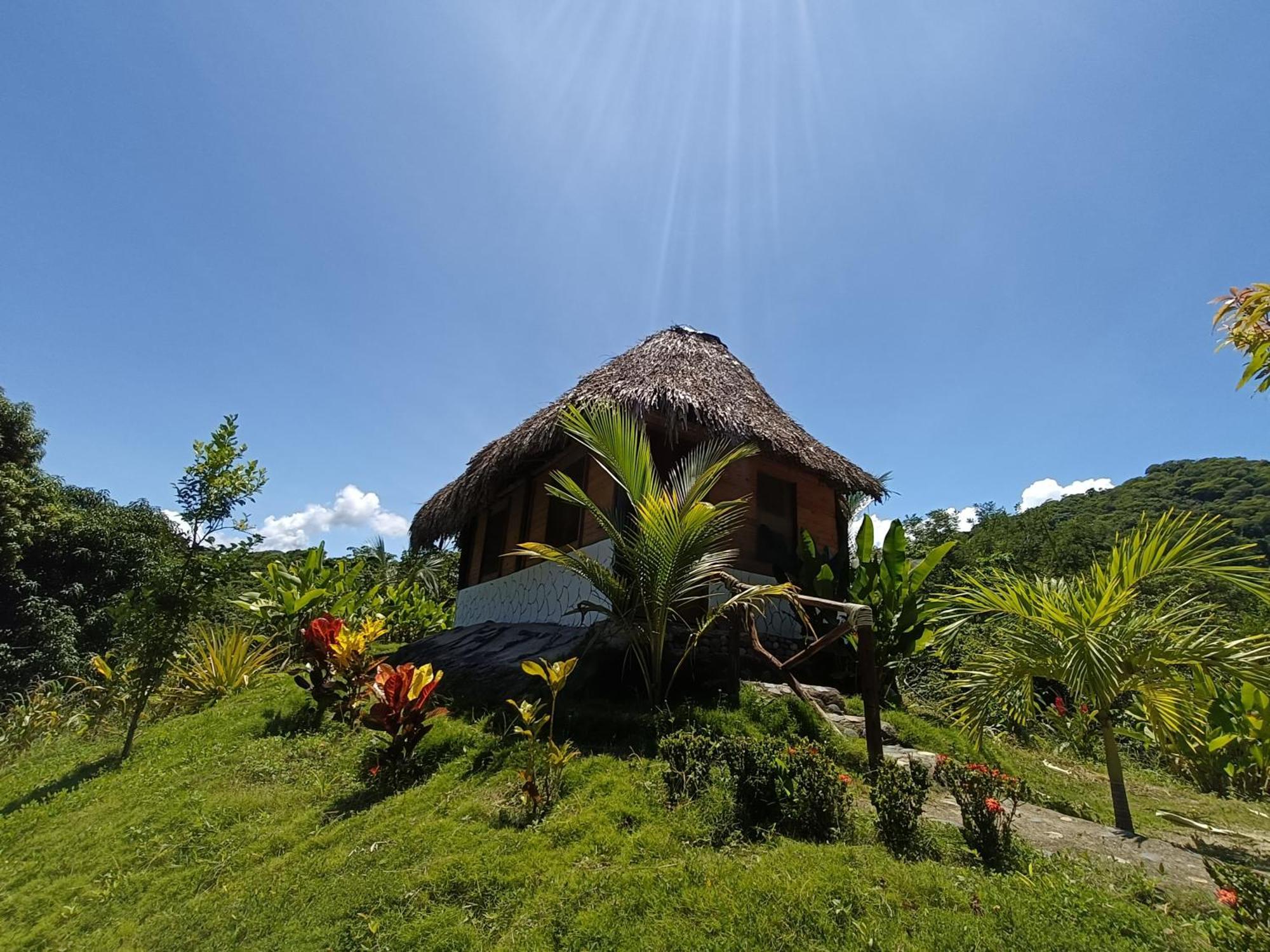 Eco Hotel Amanecer Tayrona 埃尔扎伊诺 外观 照片