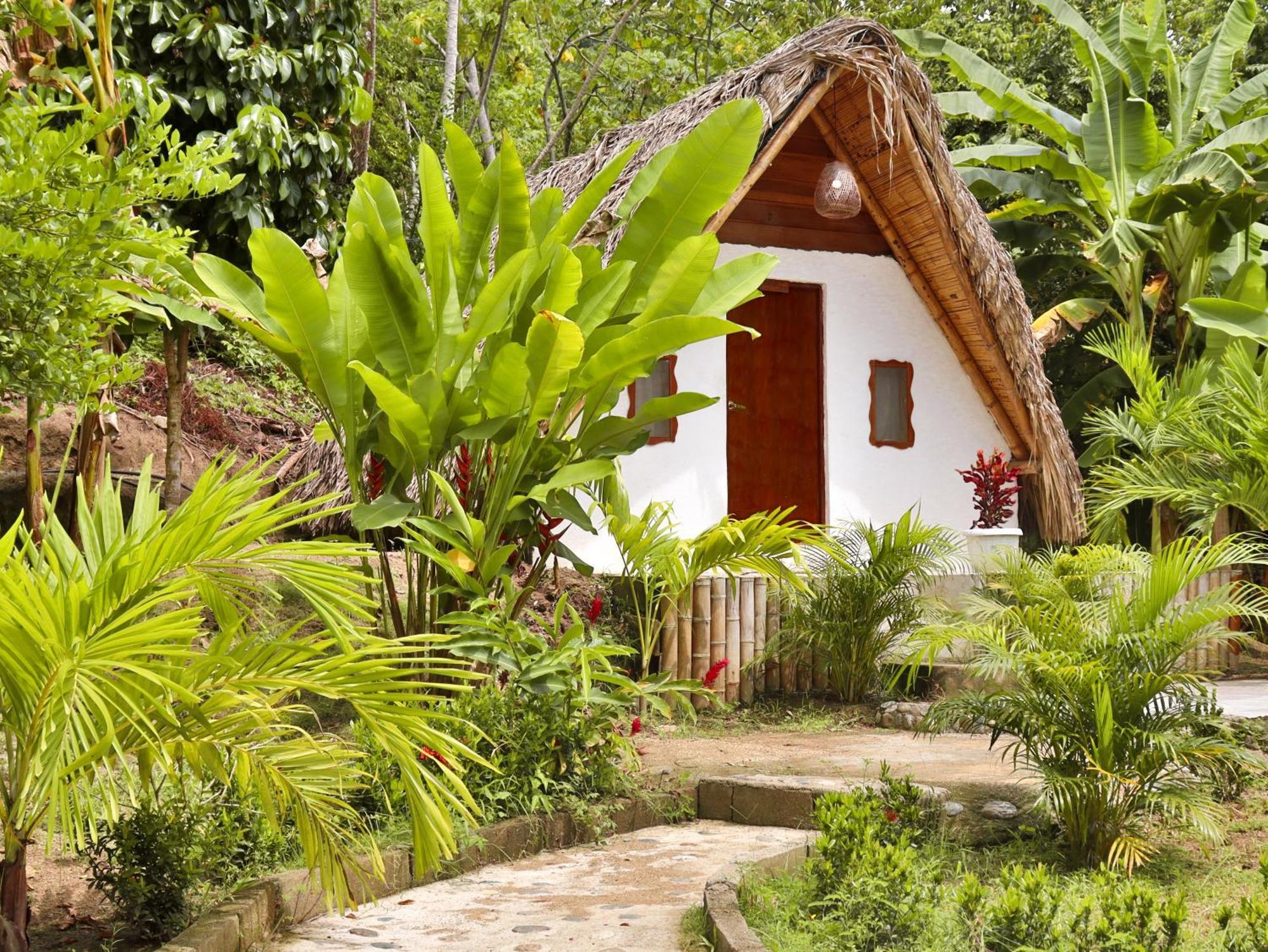 Eco Hotel Amanecer Tayrona 埃尔扎伊诺 外观 照片